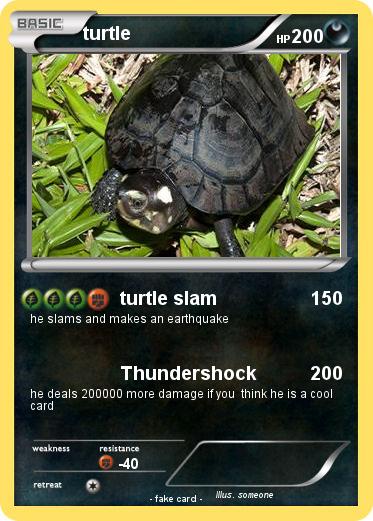 Pokemon turtle