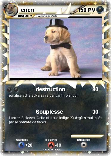 Pokemon cricri