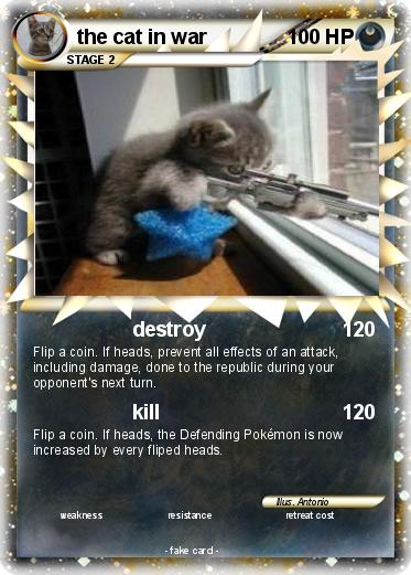 Pokemon the cat in war