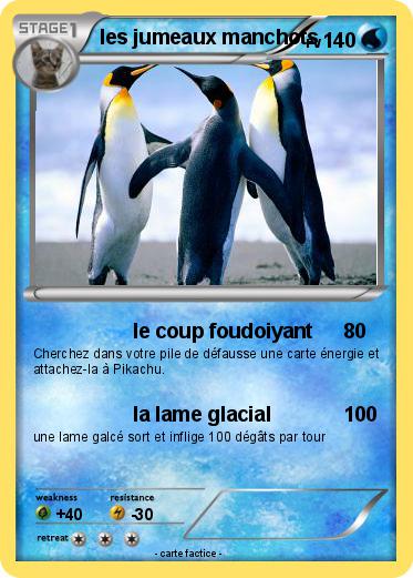 Pokemon les jumeaux manchots