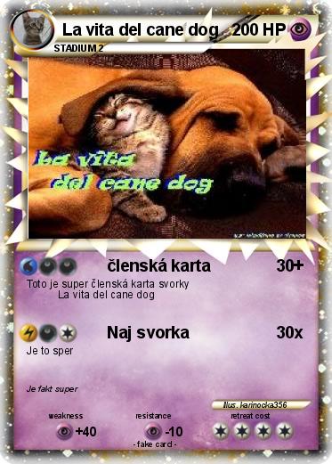 Pokemon La vita del cane dog