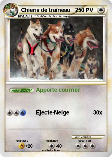 Pokemon Chiens de traîneau   2