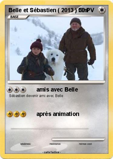 Pokemon Belle et Sébastien ( 2013 ) film