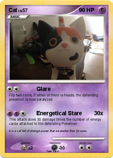 Pokemon Cat