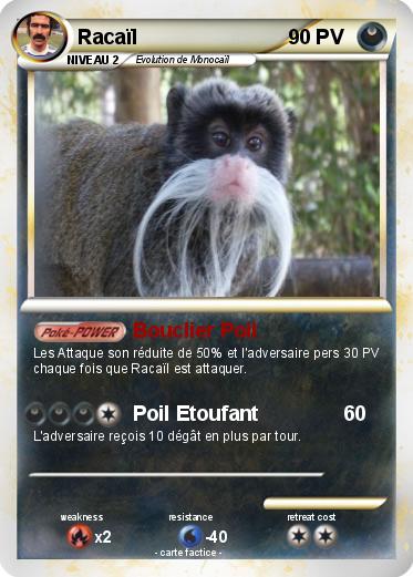 Pokemon Racaïl