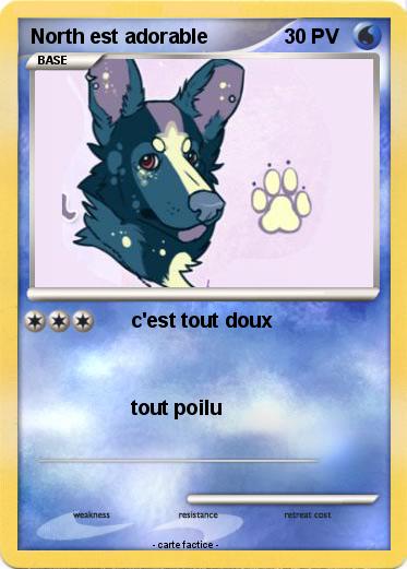 Pokemon North est adorable