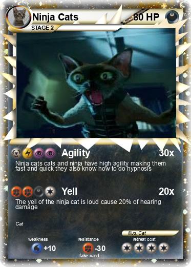 Pokemon Ninja Cats