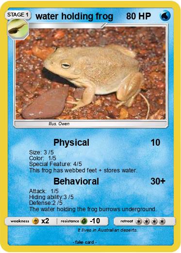 Pokemon water holding frog