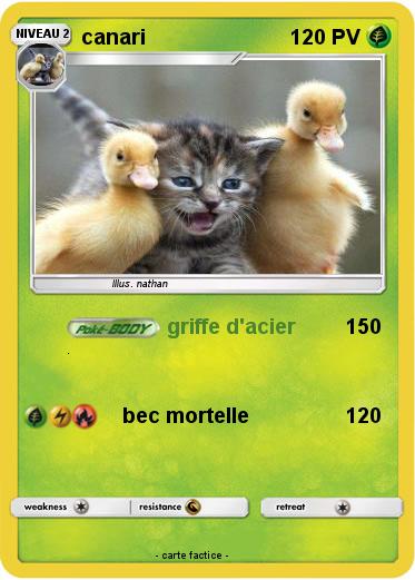 Pokemon canari
