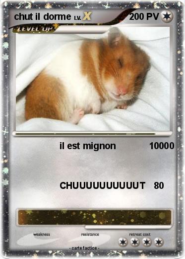 Pokemon chut il dorme