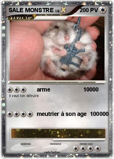 Pokemon SALE MONSTRE
