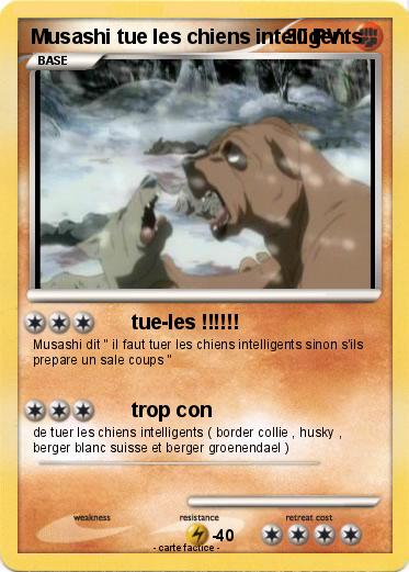 Pokemon Musashi tue les chiens intelligents