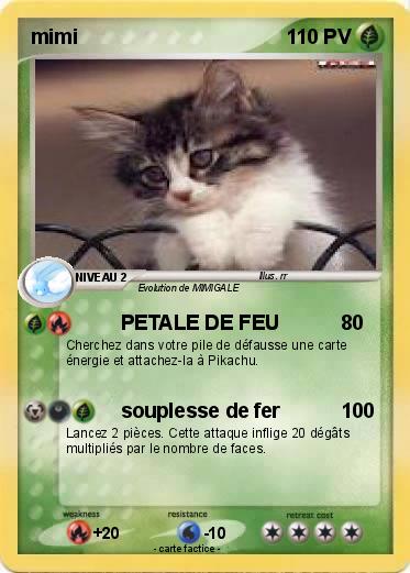 Pokemon mimi