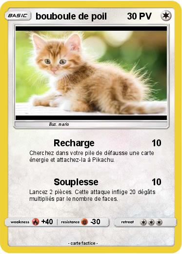 Pokemon bouboule de poil