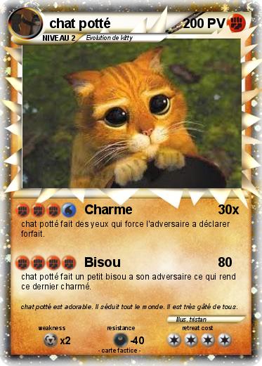 Pokemon chat potté