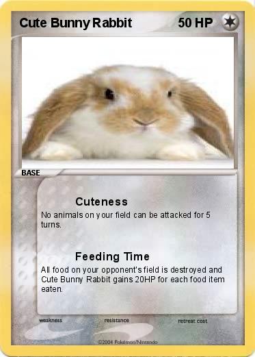 Pokemon Cute Bunny Rabbit