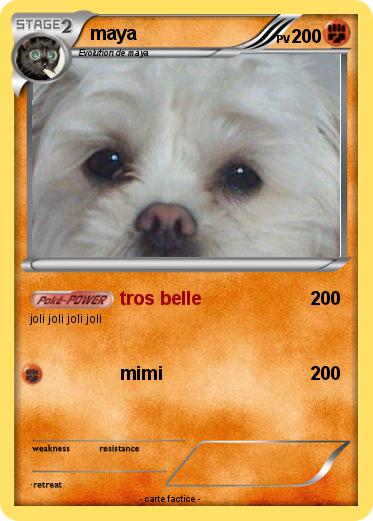 Pokemon maya