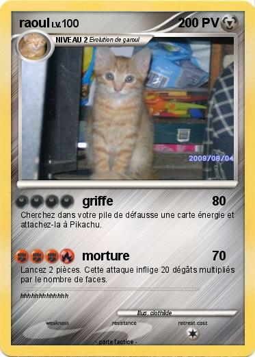 Pokemon raoul