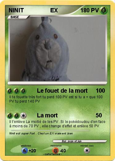 Pokemon NINIT                 EX