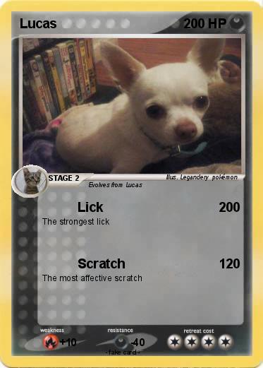 Pokemon Lucas