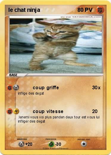 Pokemon le chat ninja