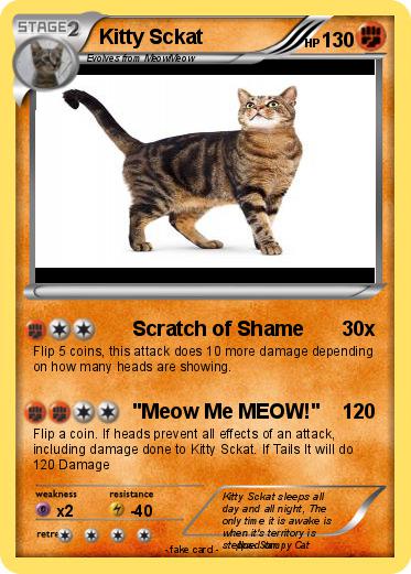 Pokemon Kitty Sckat