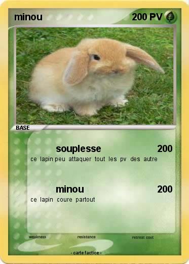 Pokemon minou