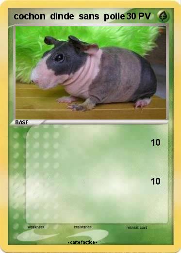 Pokemon cochon  dinde  sans  poile