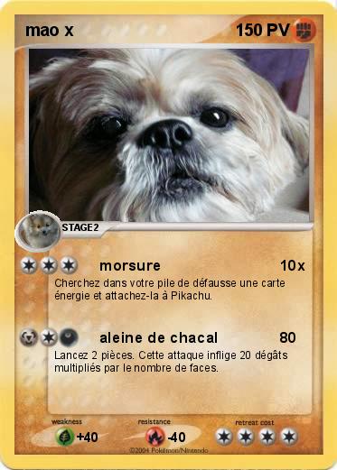 Pokemon mao x