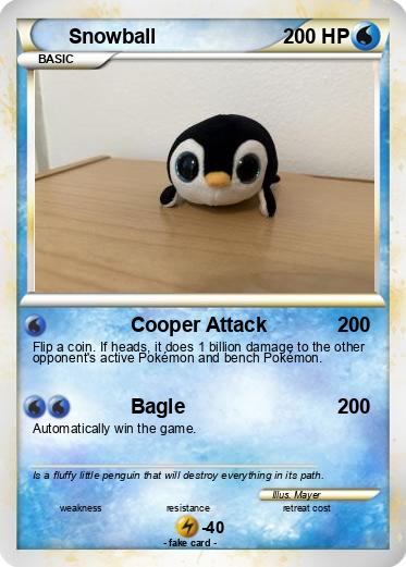 Pokemon Snowball