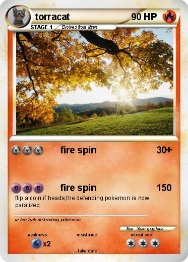 Pokemon torracat