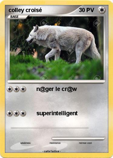 Pokemon colley croisé