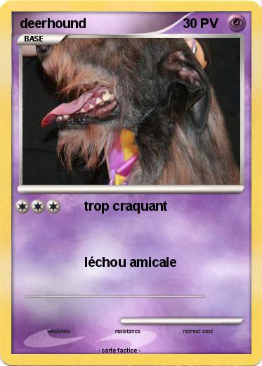 Pokemon deerhound