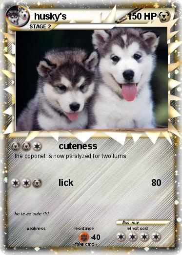 Pokemon husky's
