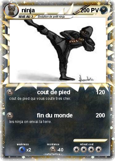Pokemon ninja