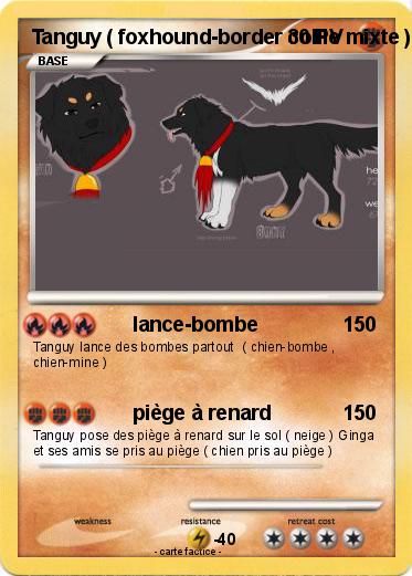Pokemon Tanguy ( foxhound-border collie mixte )