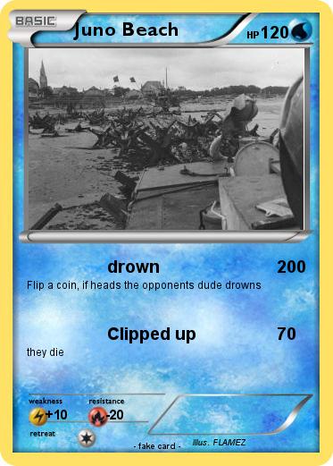 Pokemon Juno Beach