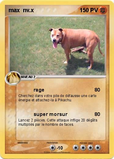 Pokemon max  nv.x