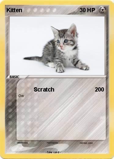 Pokemon Kitten