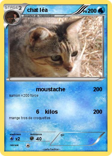 Pokemon chat léa