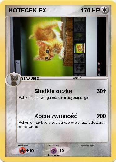 Pokemon KOTECEK EX