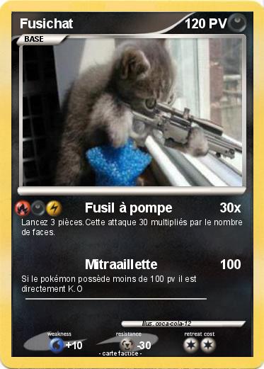 Pokemon Fusichat