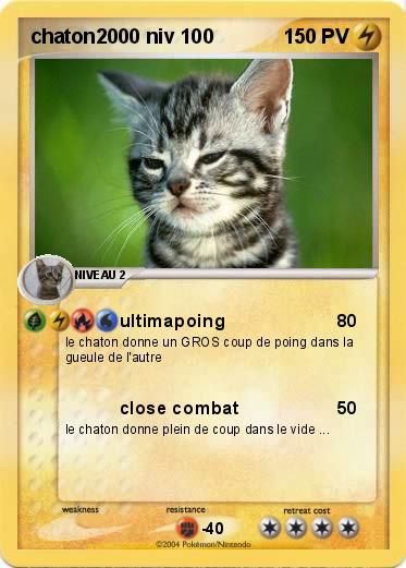 Pokemon chaton2000 niv 100