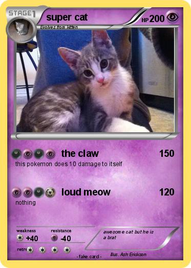 Pokemon super cat
