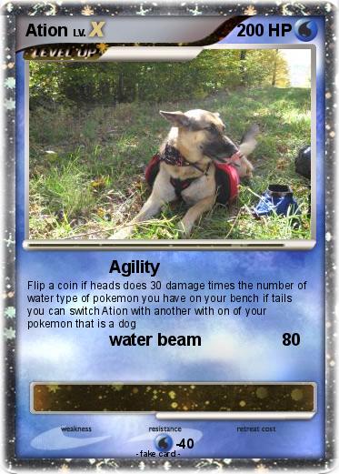 Pokemon Ation