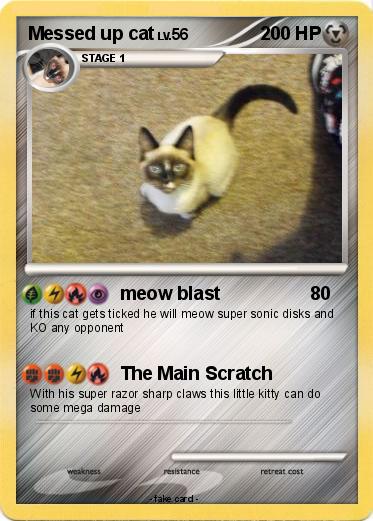 Pokemon Messed up cat