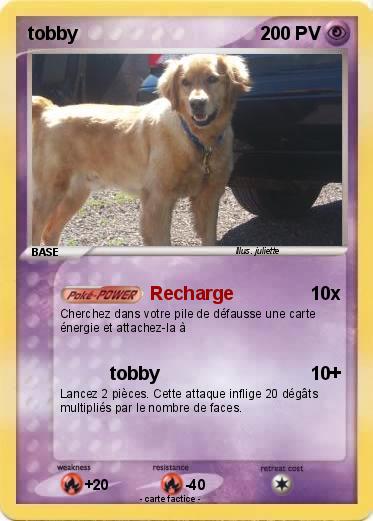 Pokemon tobby