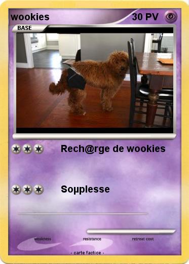 Pokemon wookies