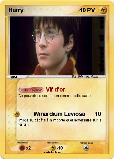 Pokemon Harry