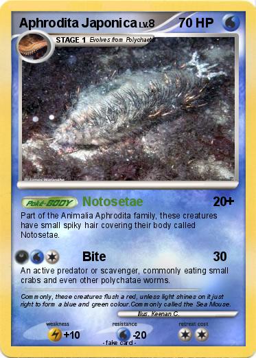 Pokemon Aphrodita Japonica